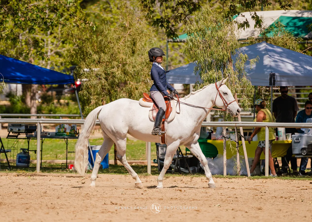 Route 101 April 5-6 2025