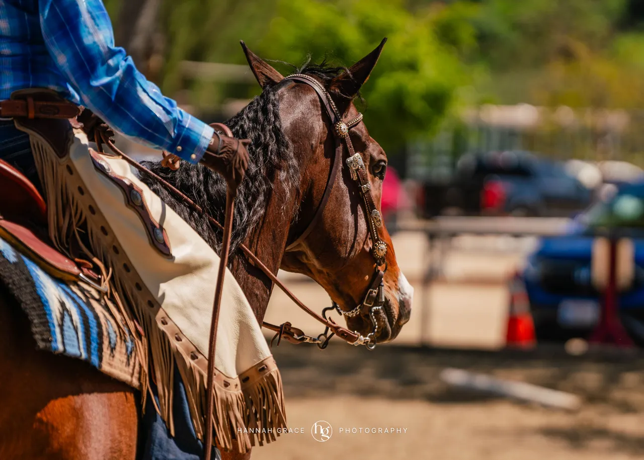 Route 101 April 5-6 2025