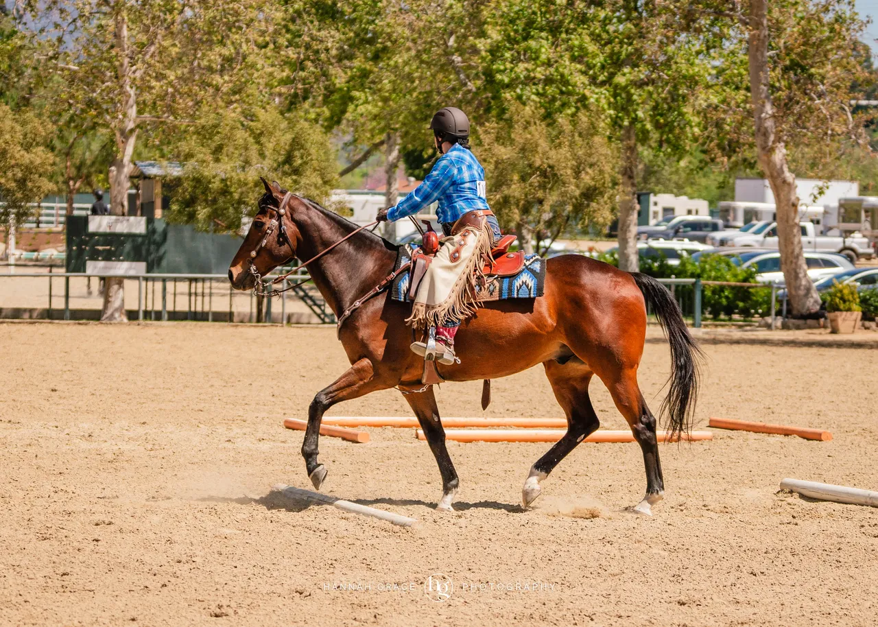 Route 101 April 5-6 2025