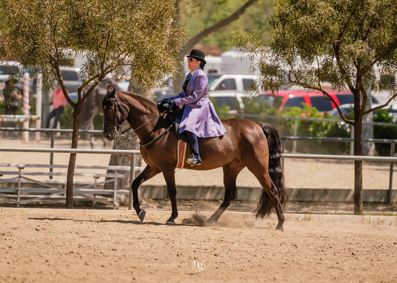 Route 101 April 5-6 2025