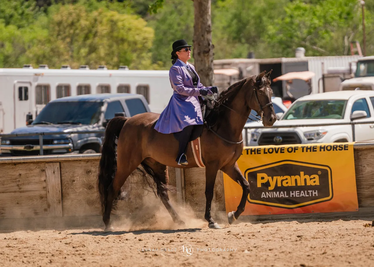 Route 101 April 5-6 2025