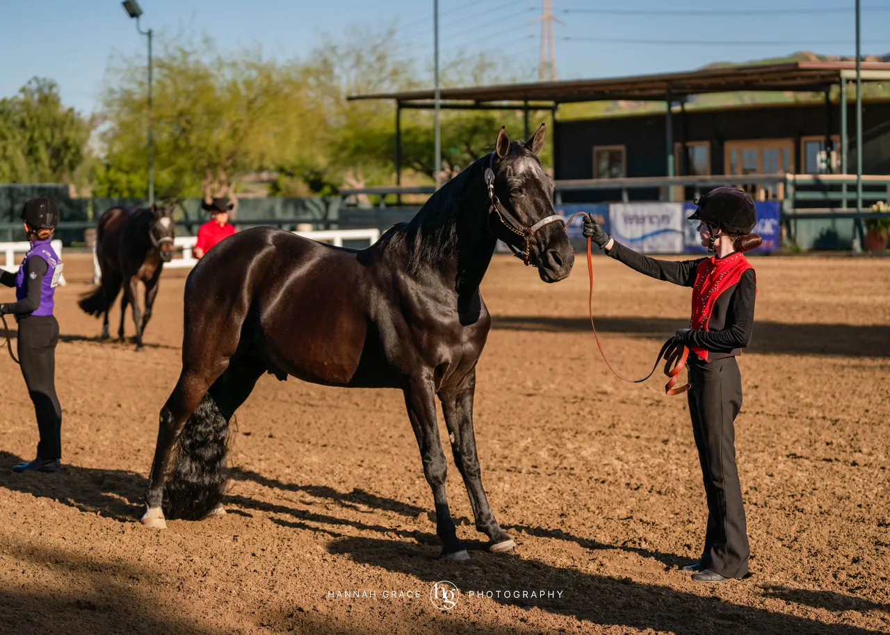 Route 101 April 5-6 2025