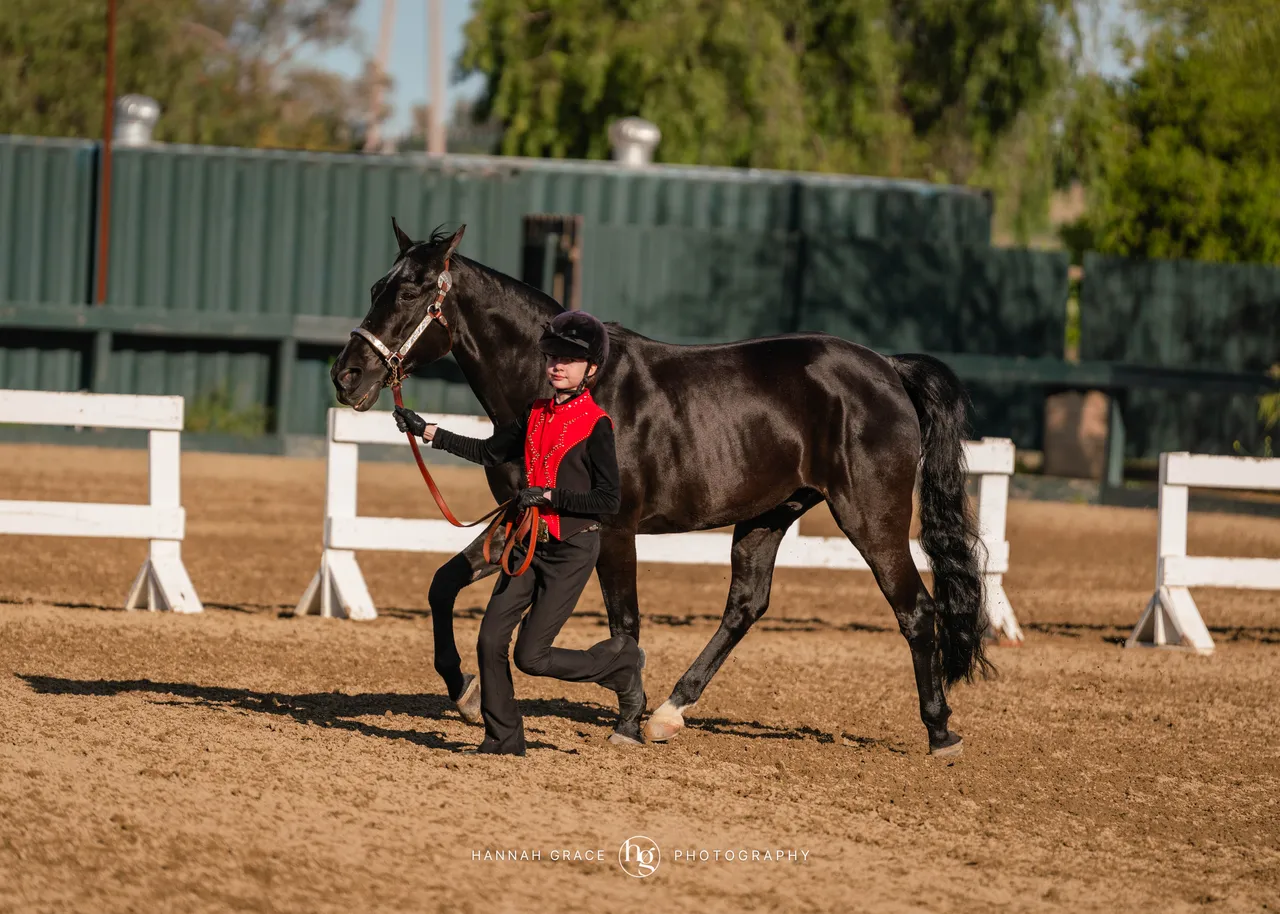 Route 101 April 5-6 2025