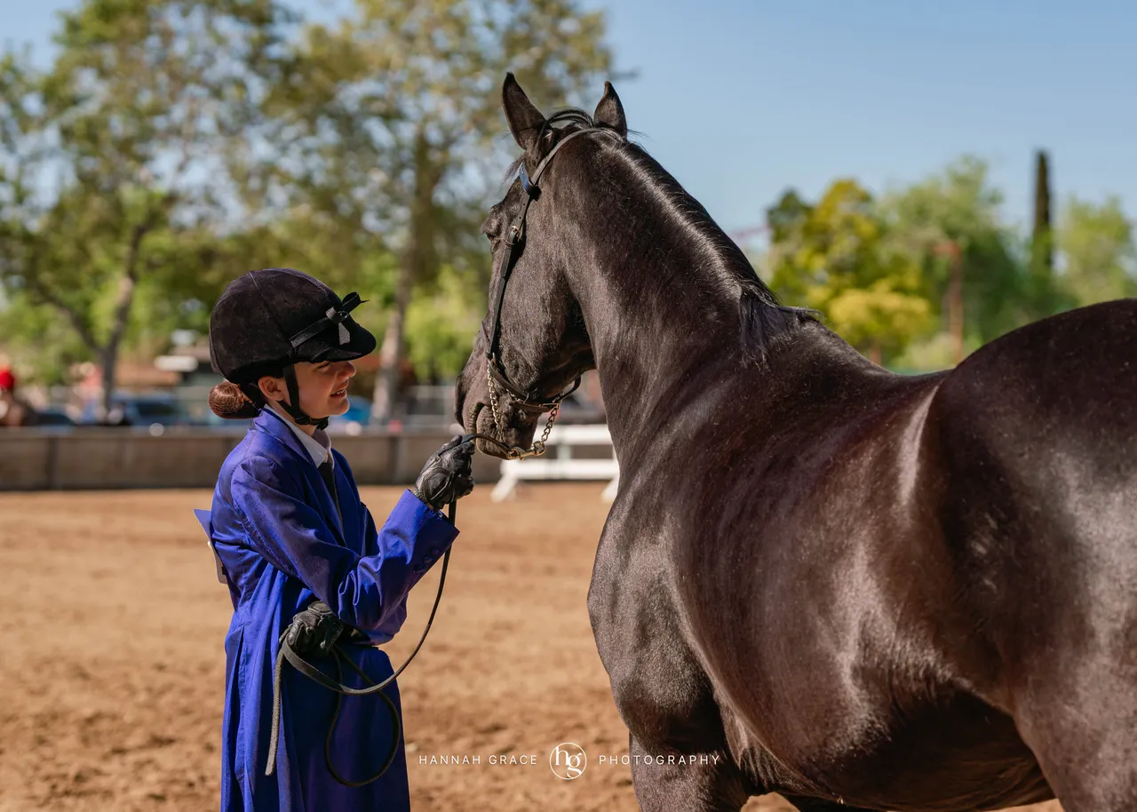 Route 101 April 5-6 2025