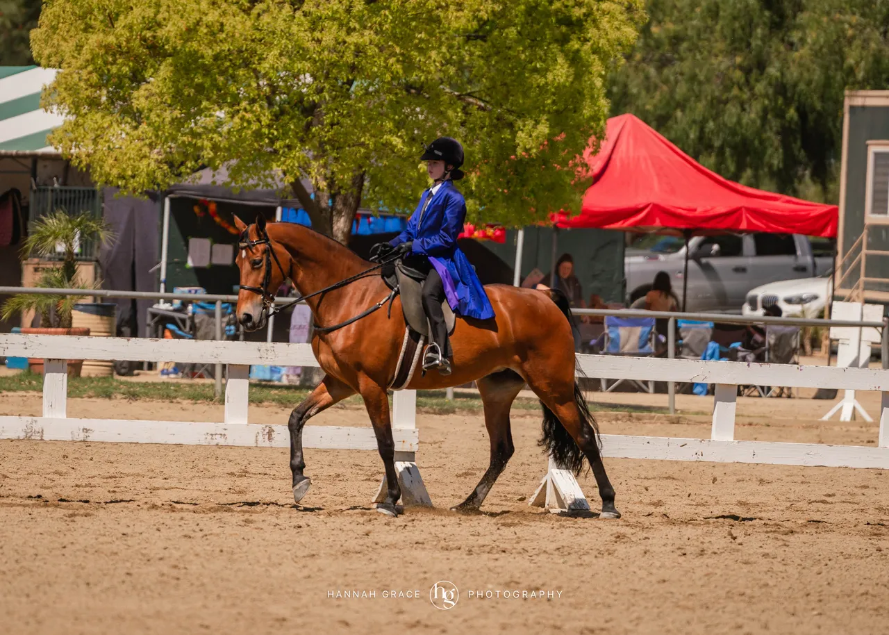 Route 101 April 5-6 2025