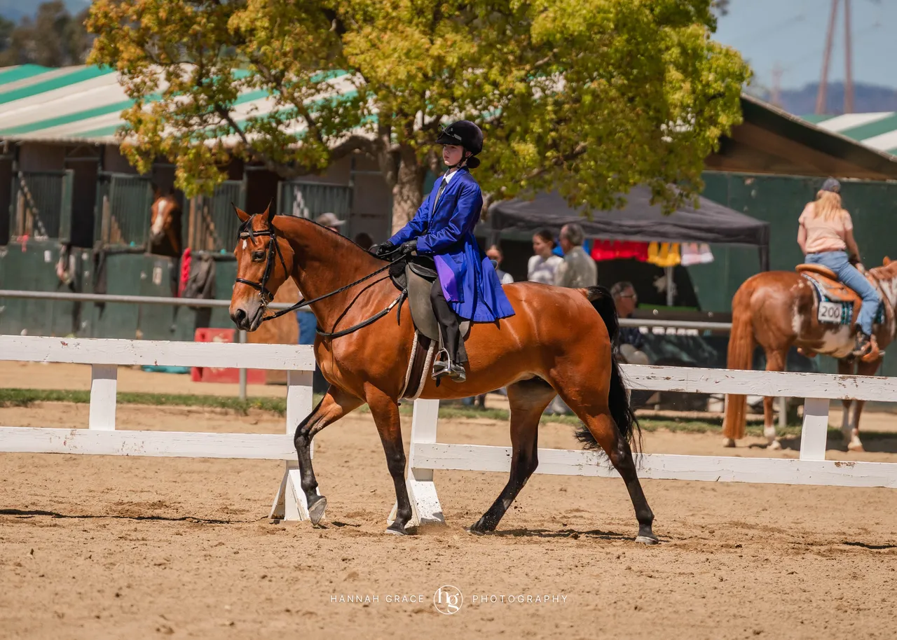 Route 101 April 5-6 2025