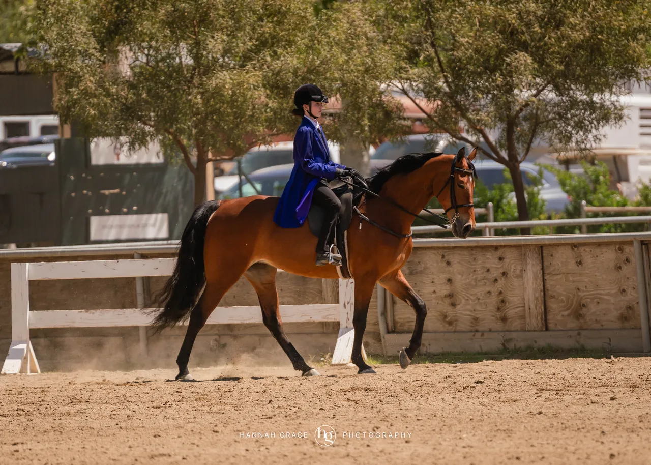 Route 101 April 5-6 2025