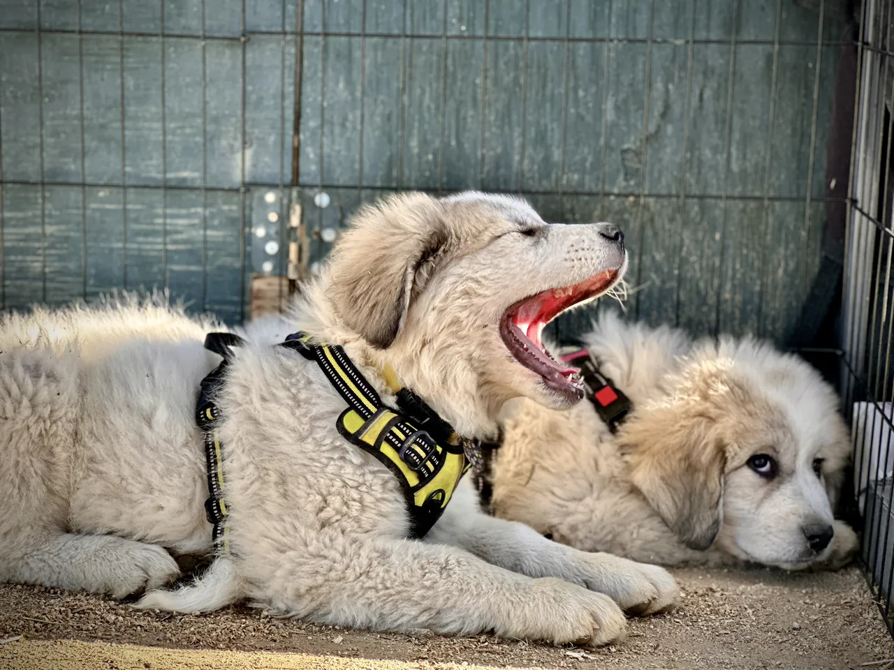 Route 101 April 5-6 2025