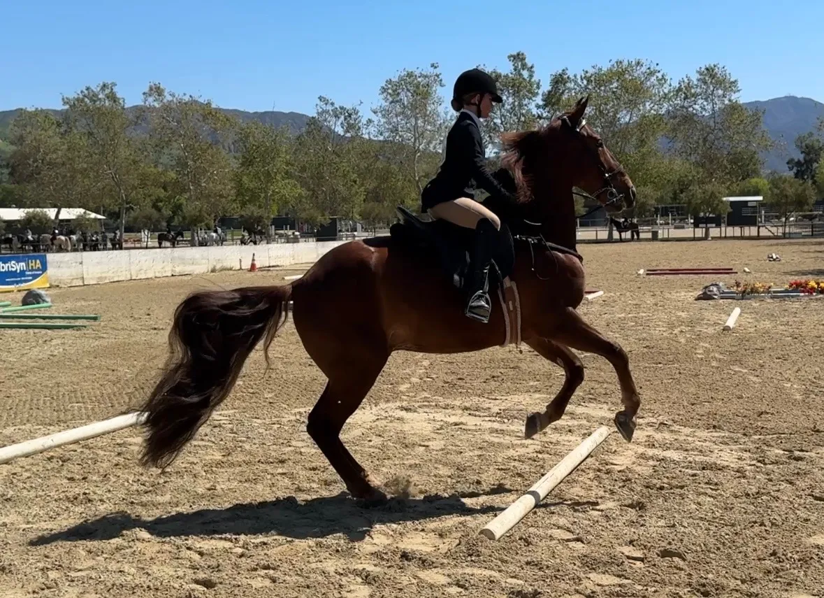 Route 101 April 5-6 2025