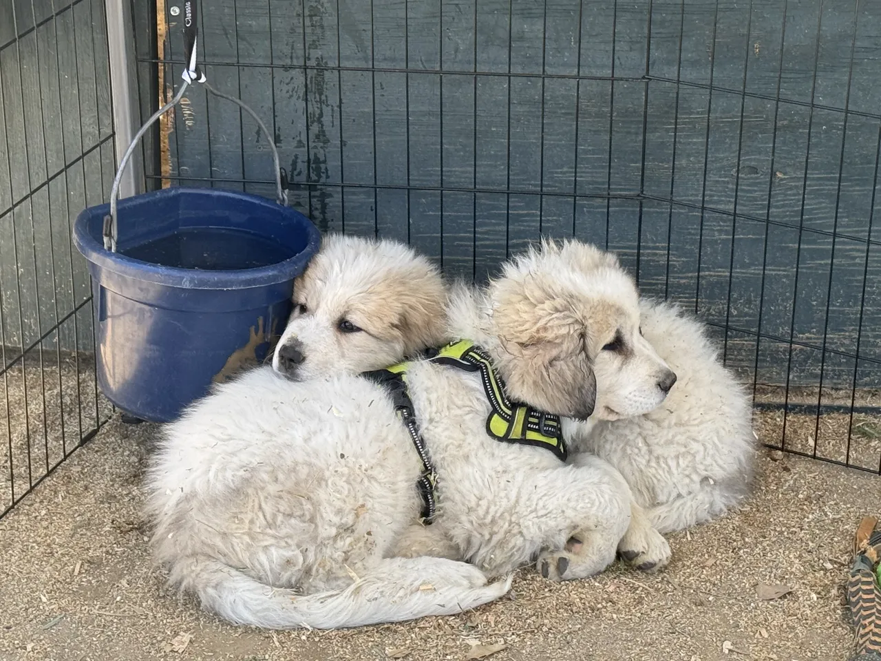 Route 101 April 5-6 2025