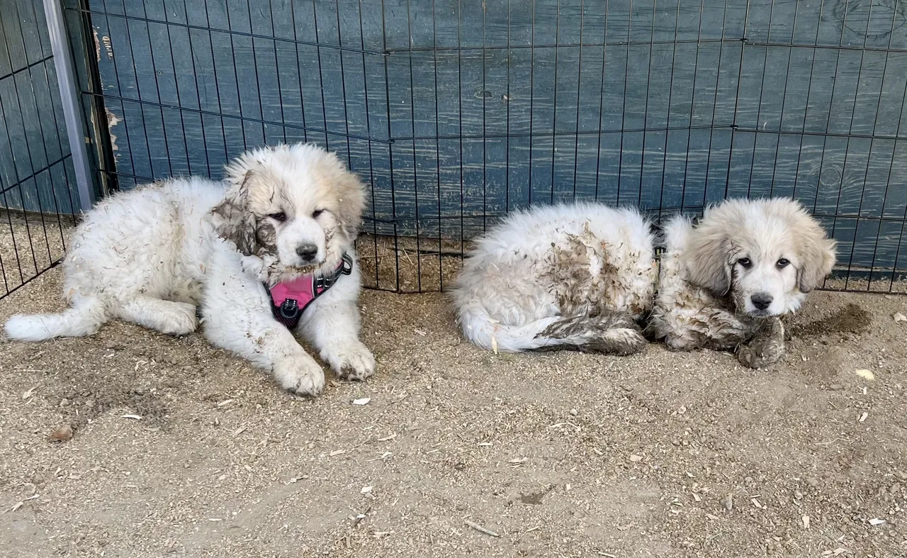 Route 101 April 5-6 2025