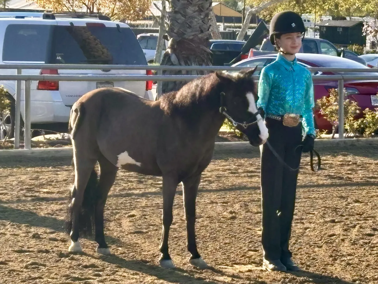 Route 101 March 2025