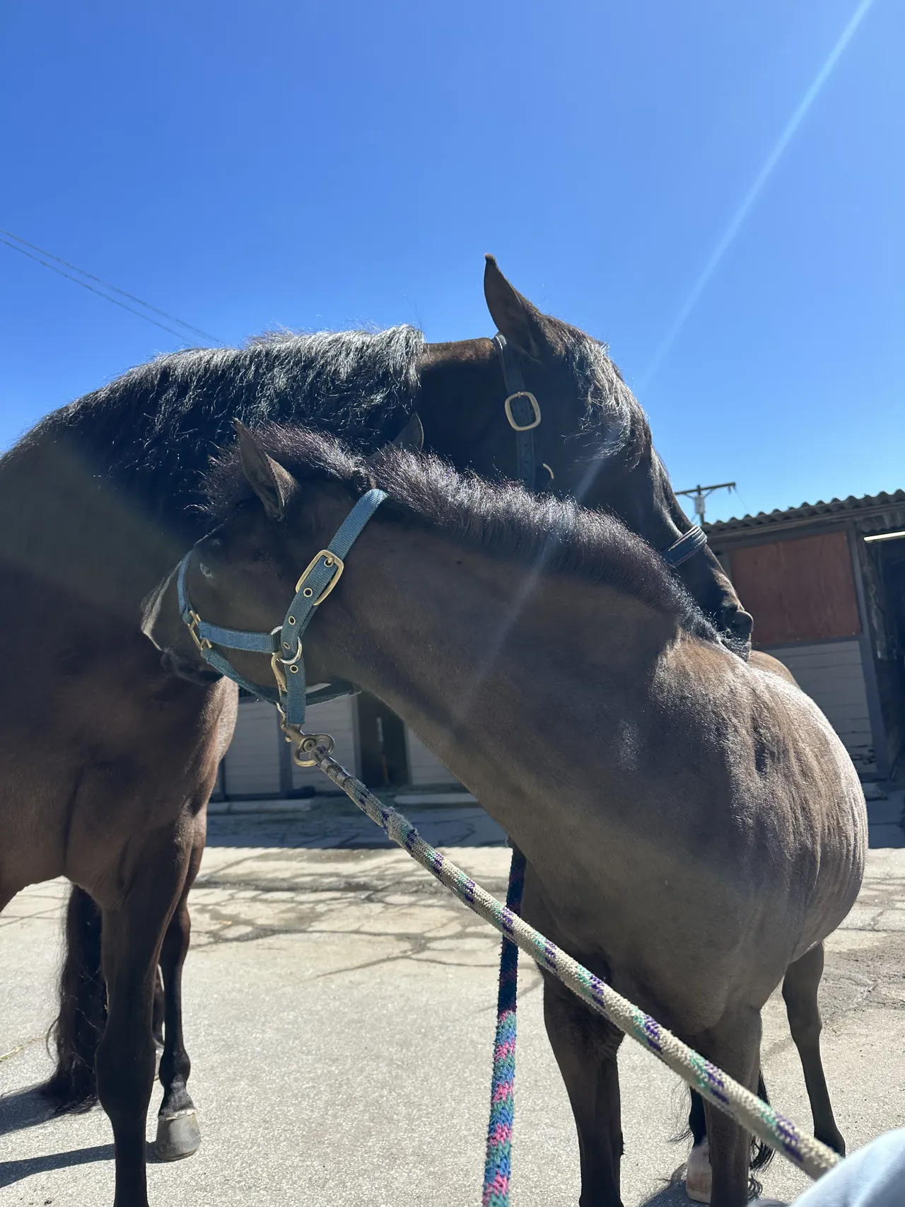 Route 101 March 2025