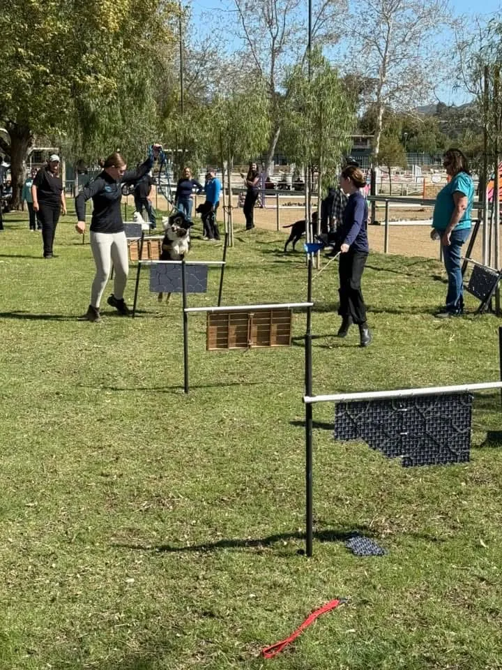 Route 101 March 2025