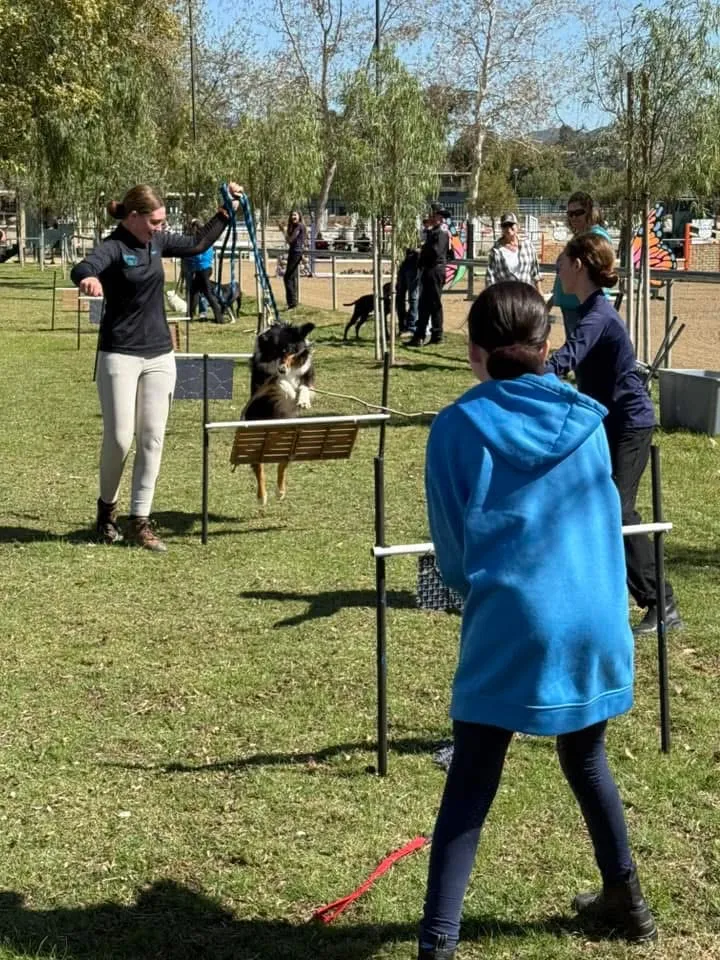 Route 101 March 2025