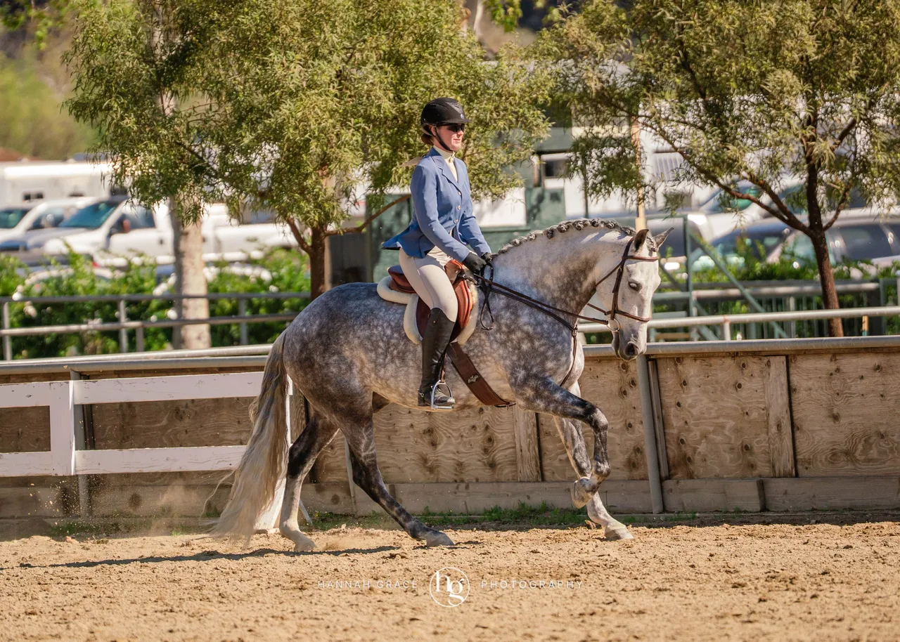 Route 101 March 2025