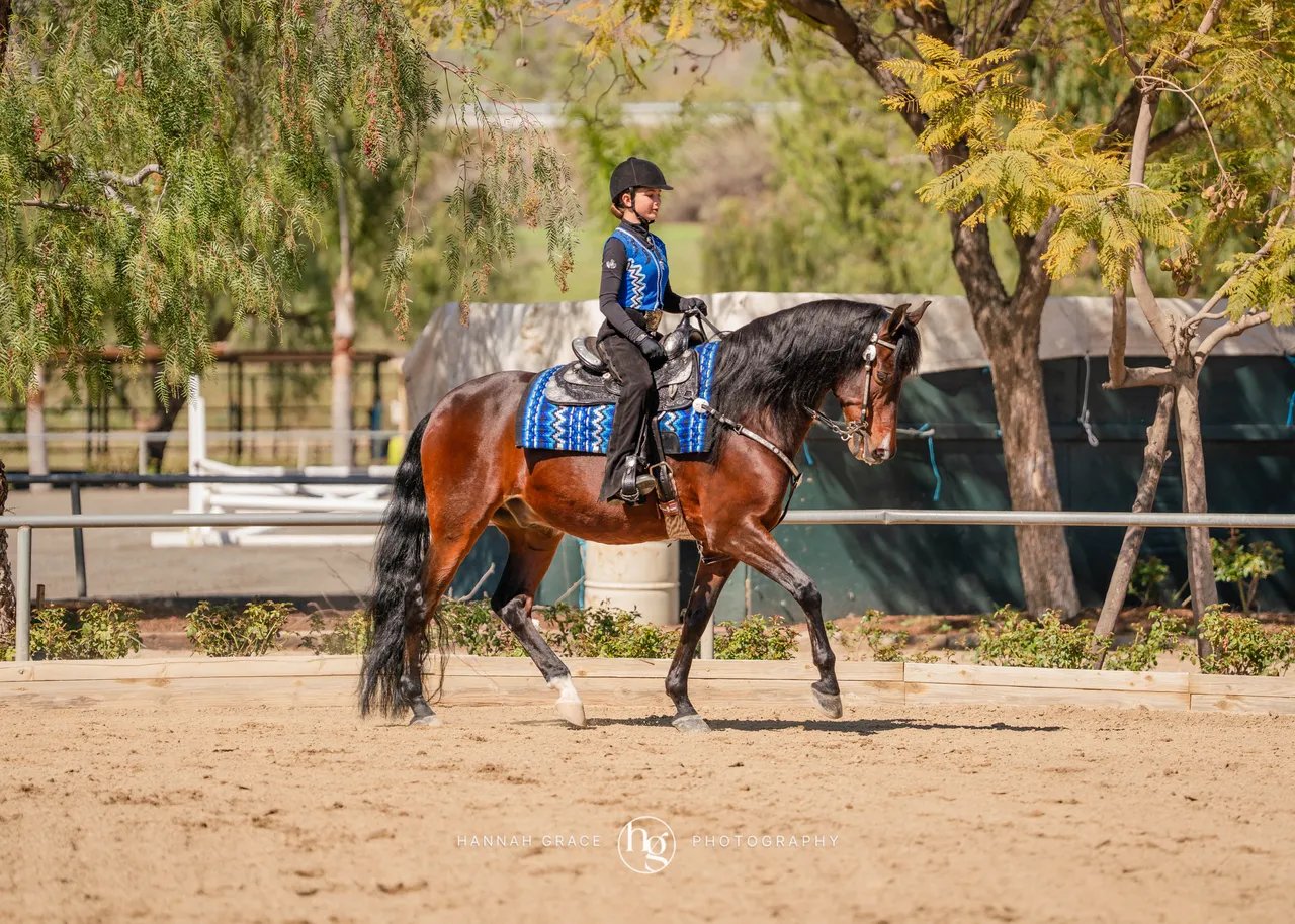 Route 101 March 2025