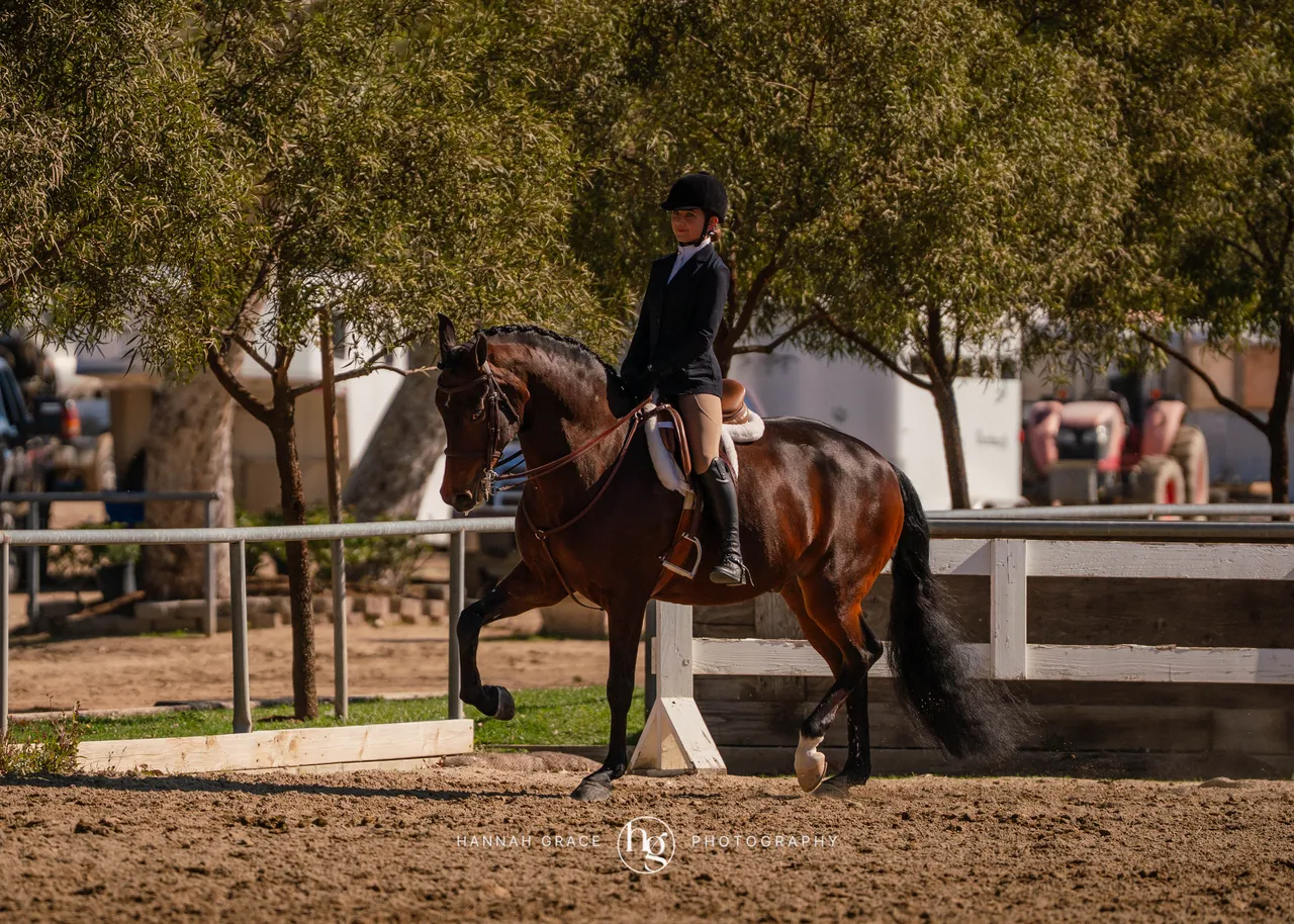 Route 101 March 2025