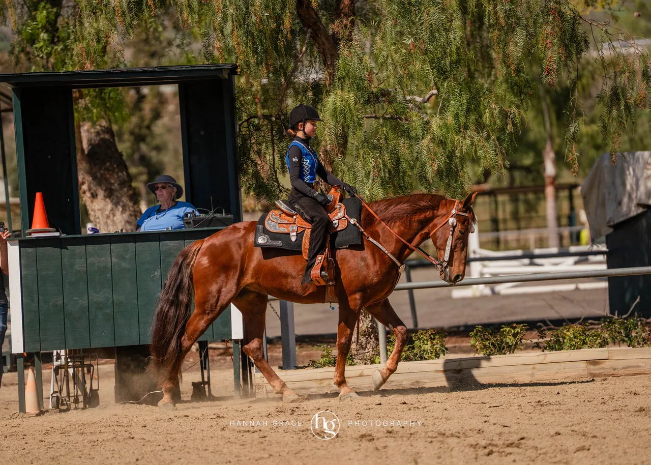 Route 101 March 2025