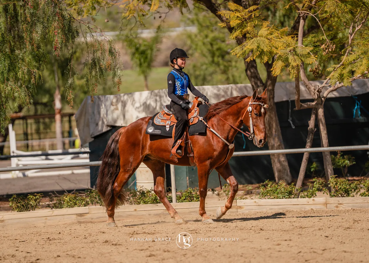 Route 101 March 2025