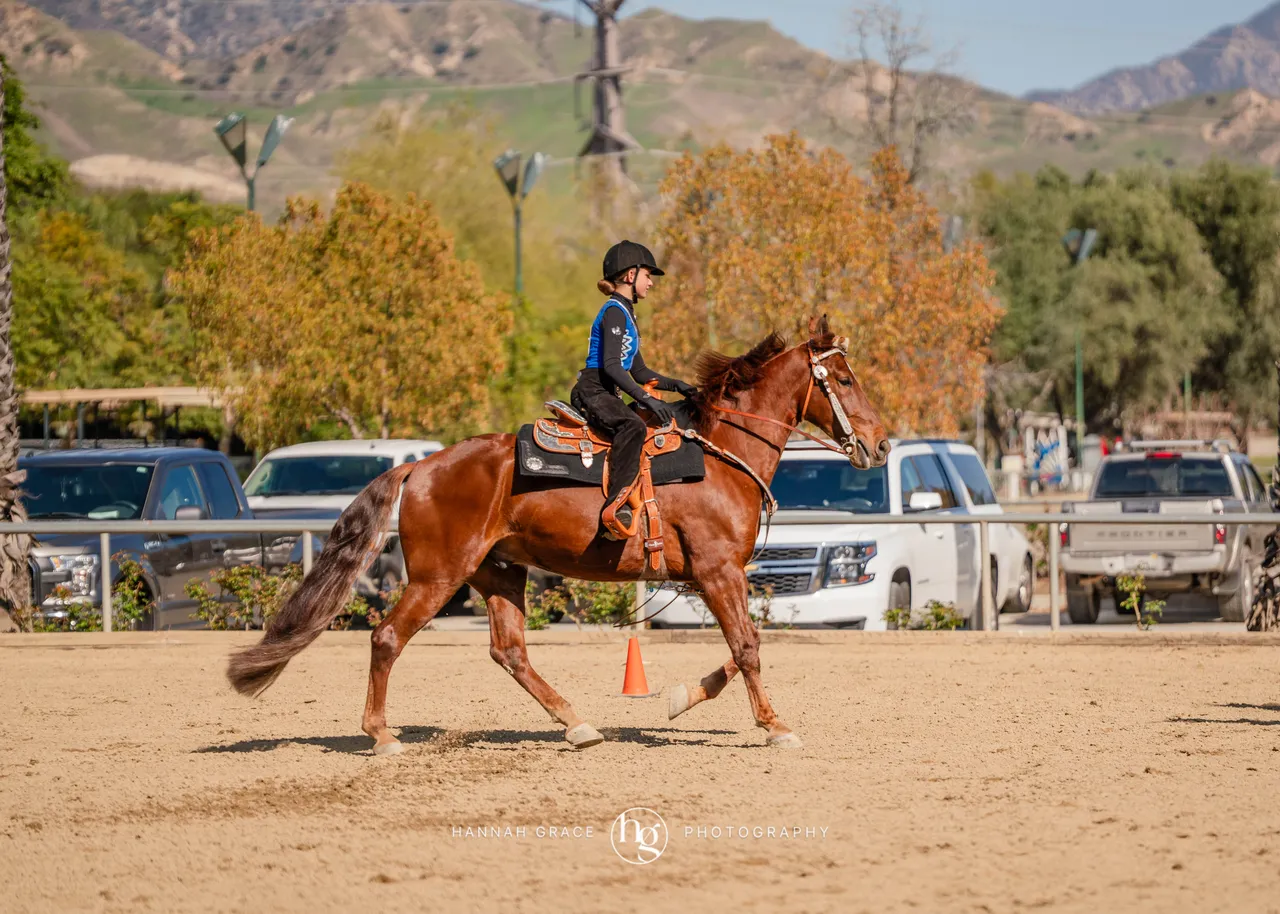 Route 101 March 2025