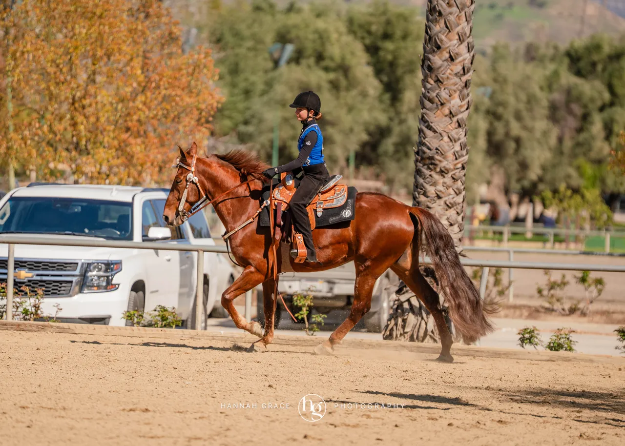 Route 101 March 2025