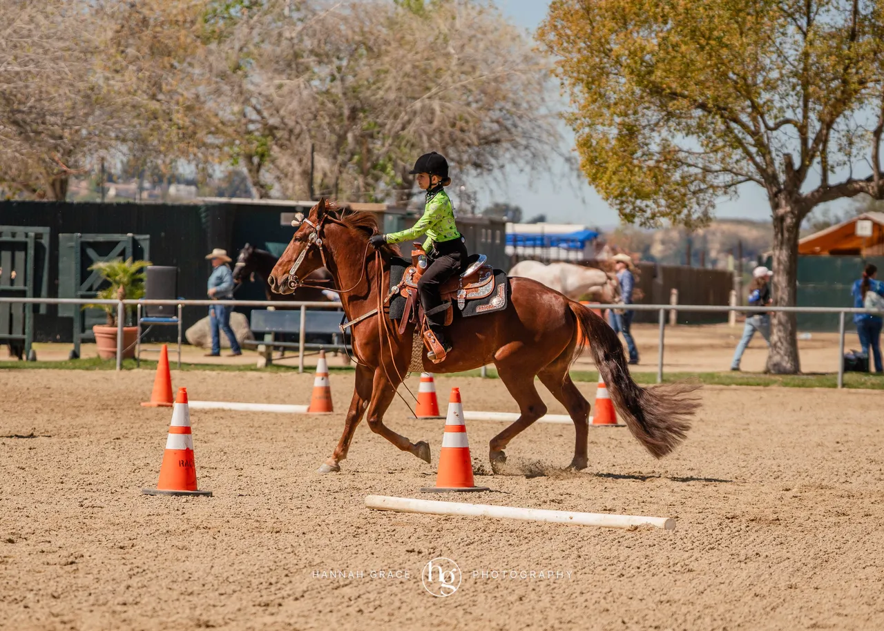 Route 101 March 2025