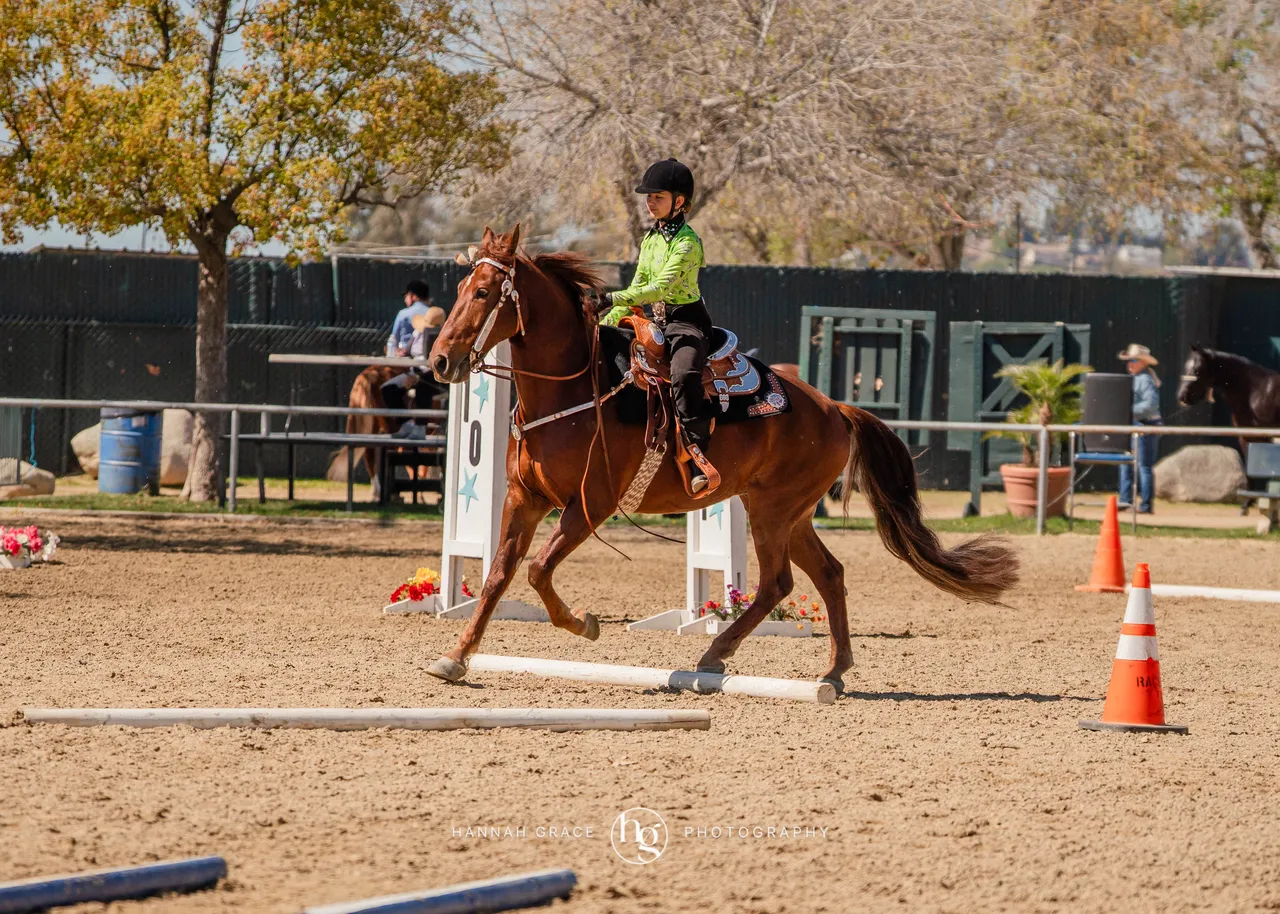 Route 101 March 2025