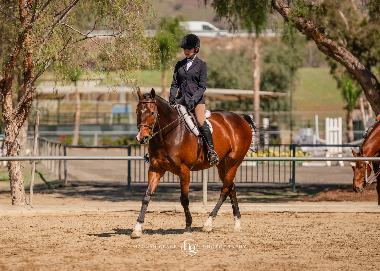 Route 101 March 2025