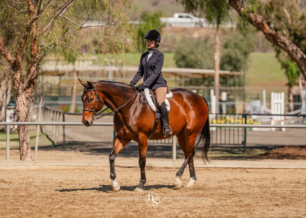 Route 101 March 2025