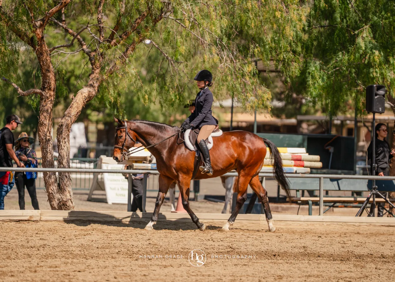 Route 101 March 2025