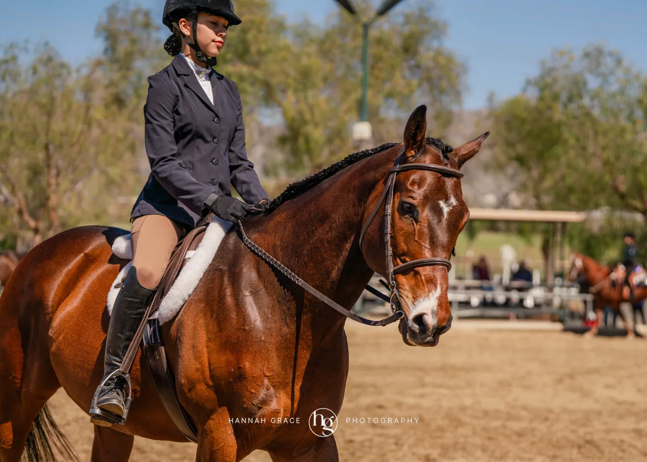 Route 101 March 2025