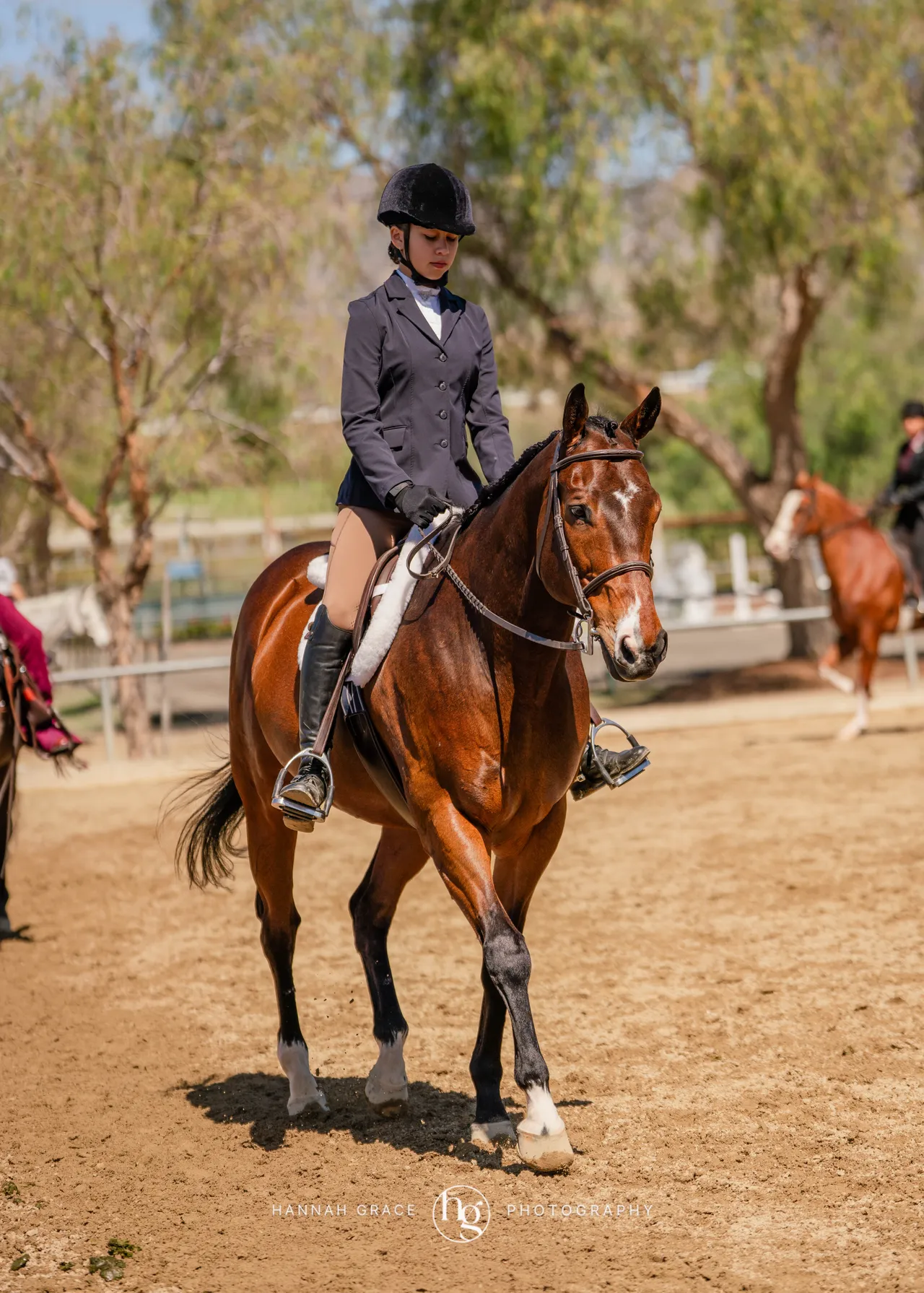 Route 101 March 2025