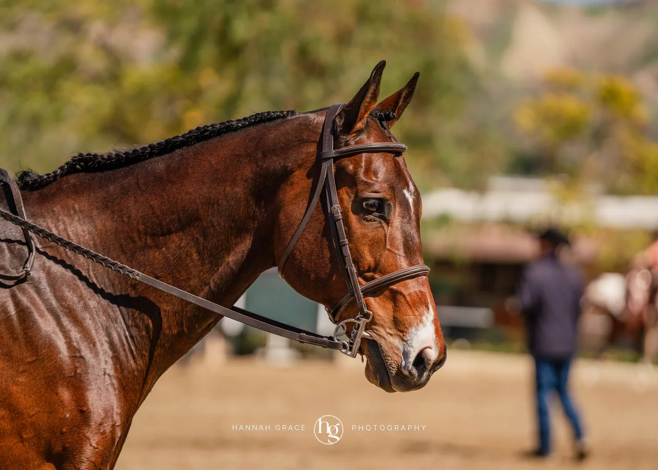 Route 101 March 2025