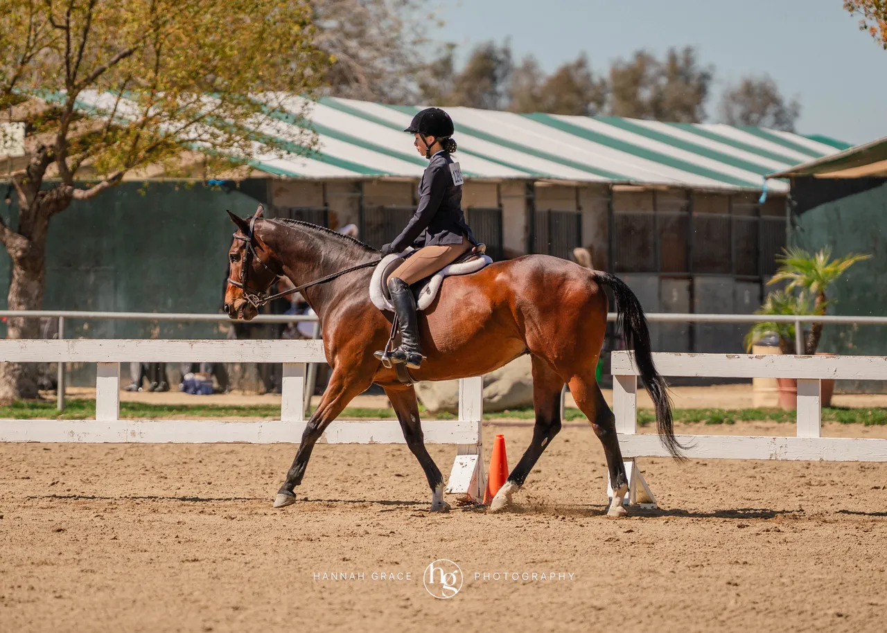 Route 101 March 2025