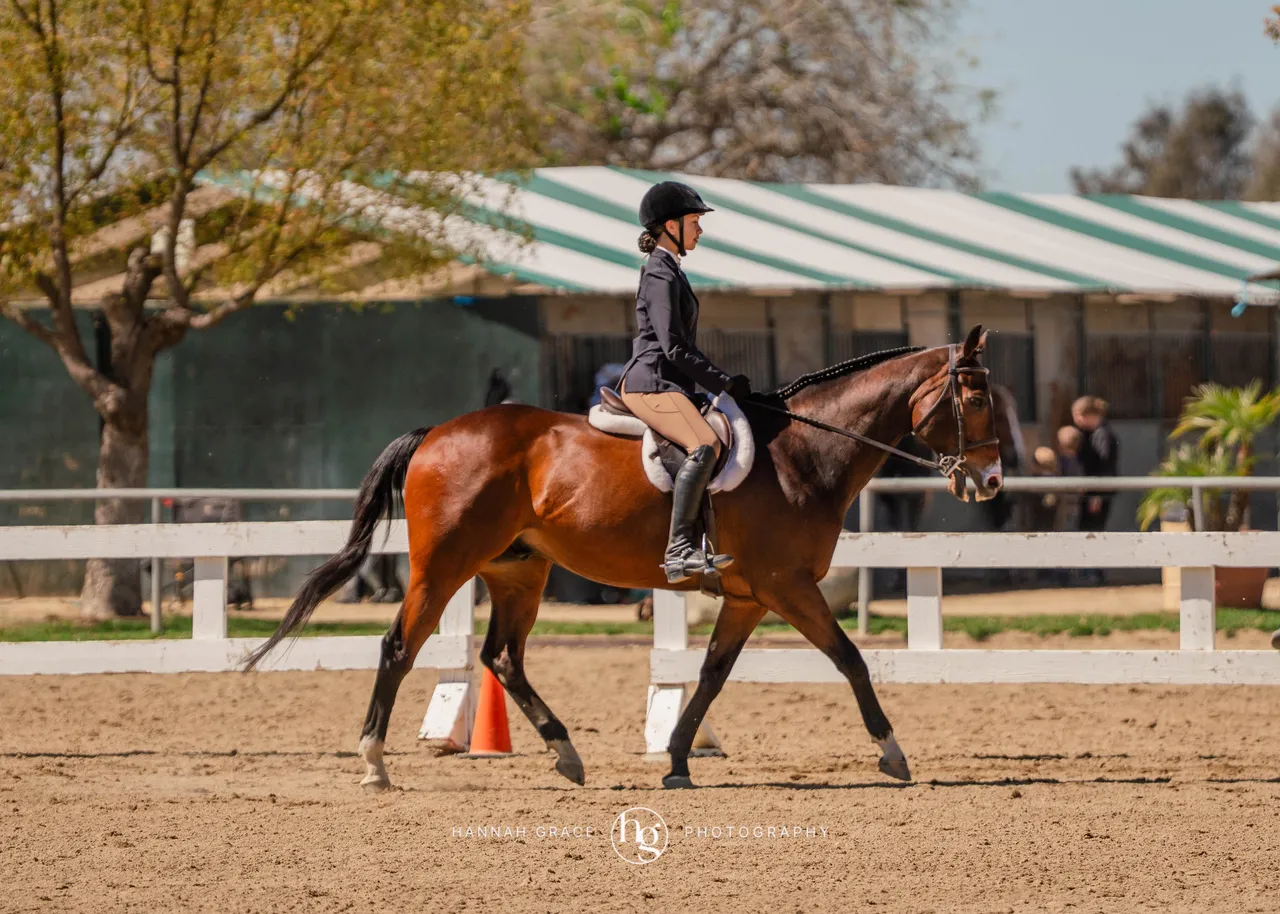 Route 101 March 2025