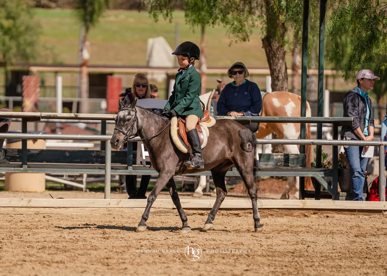 Route 101 March 2025