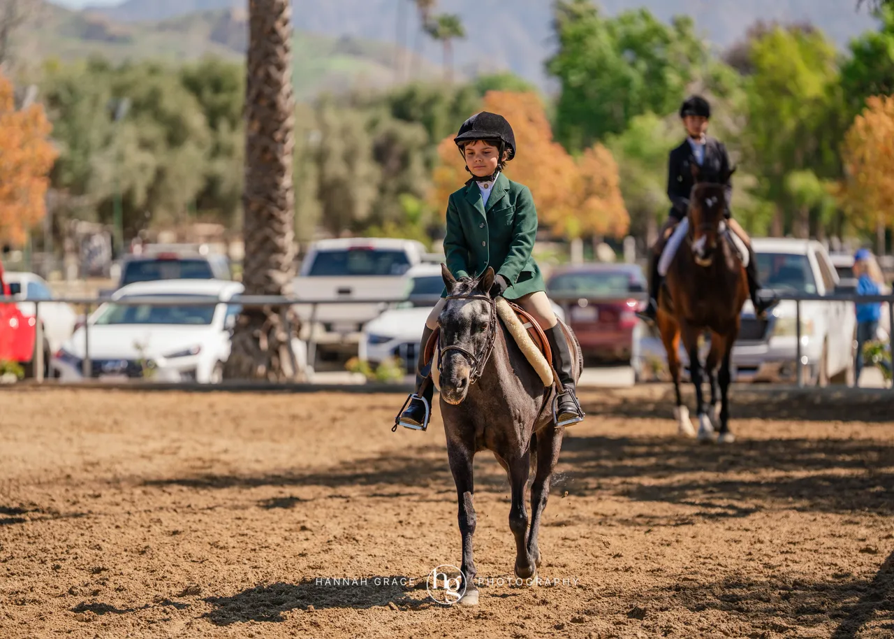 Route 101 March 2025