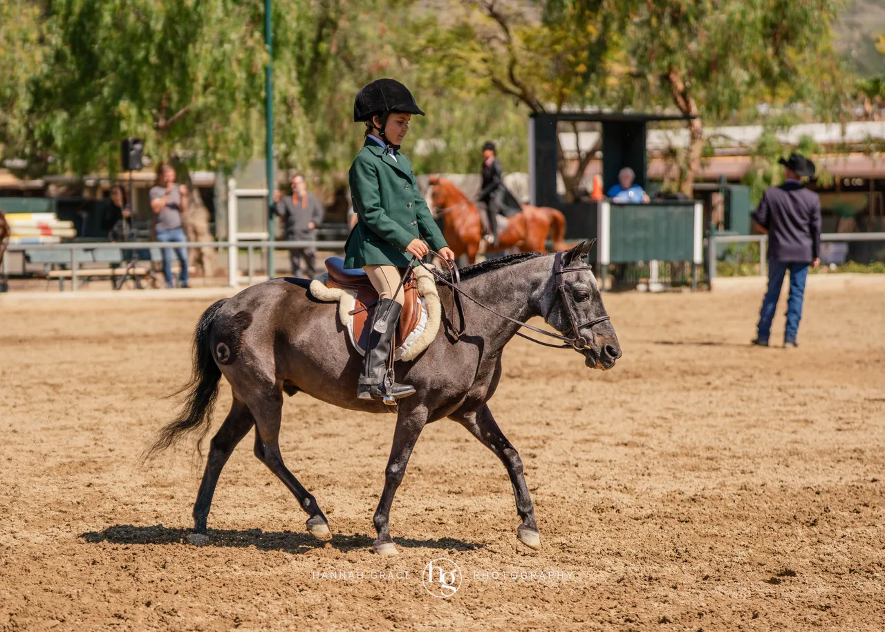 Route 101 March 2025