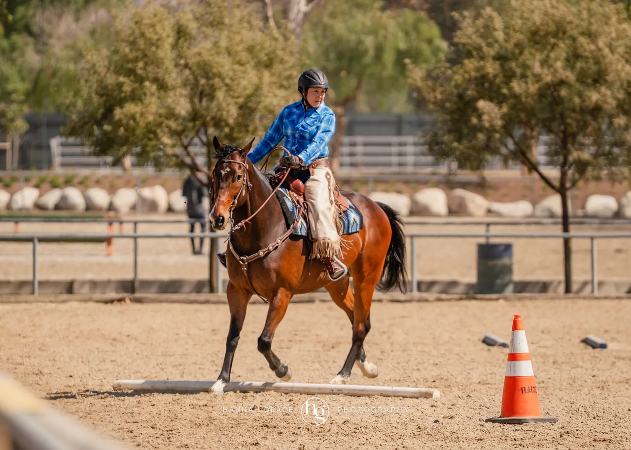 Route 101 March 2025