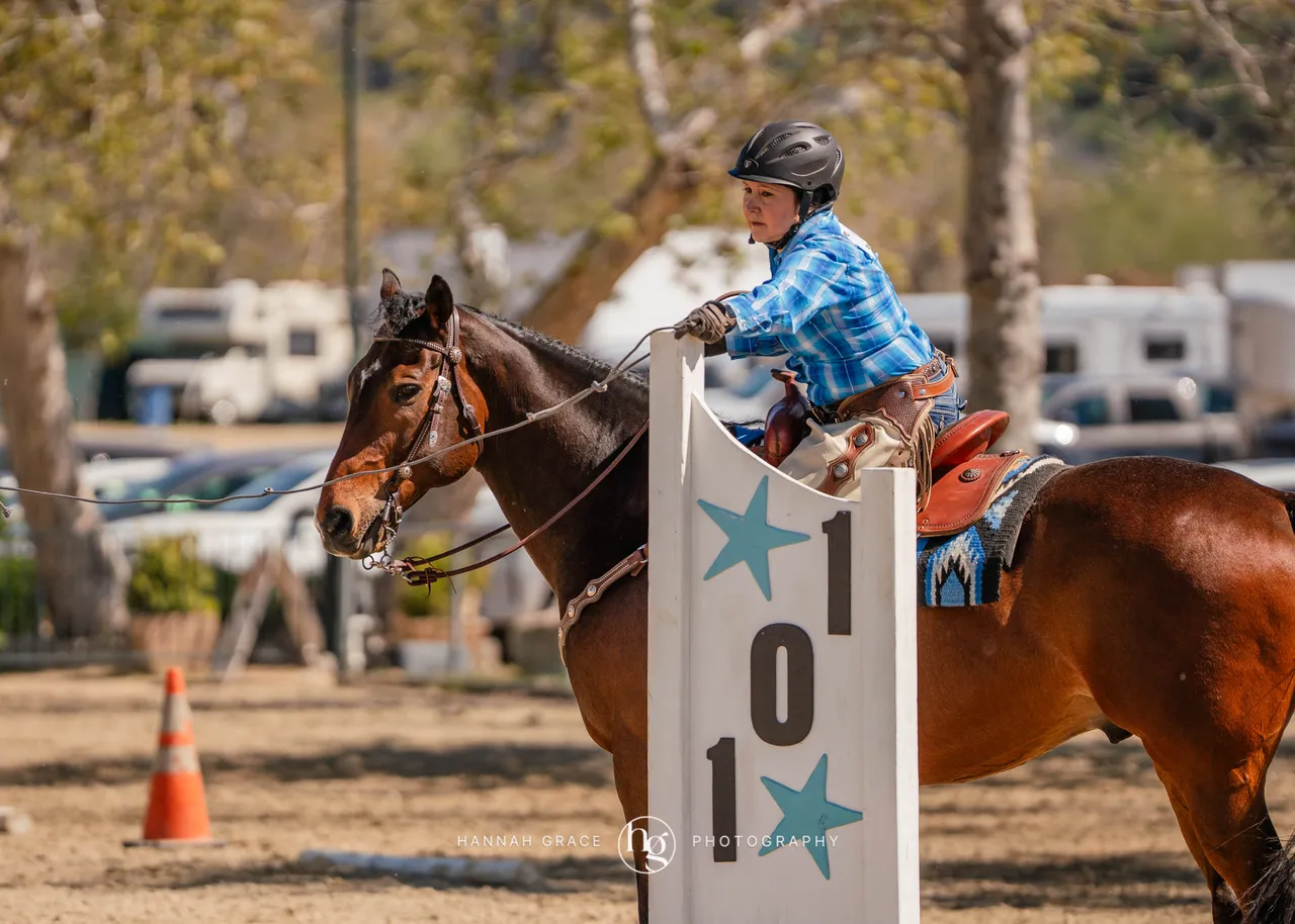 Route 101 March 2025