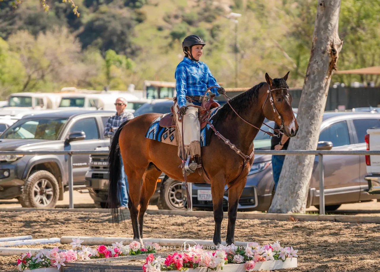 Route 101 March 2025