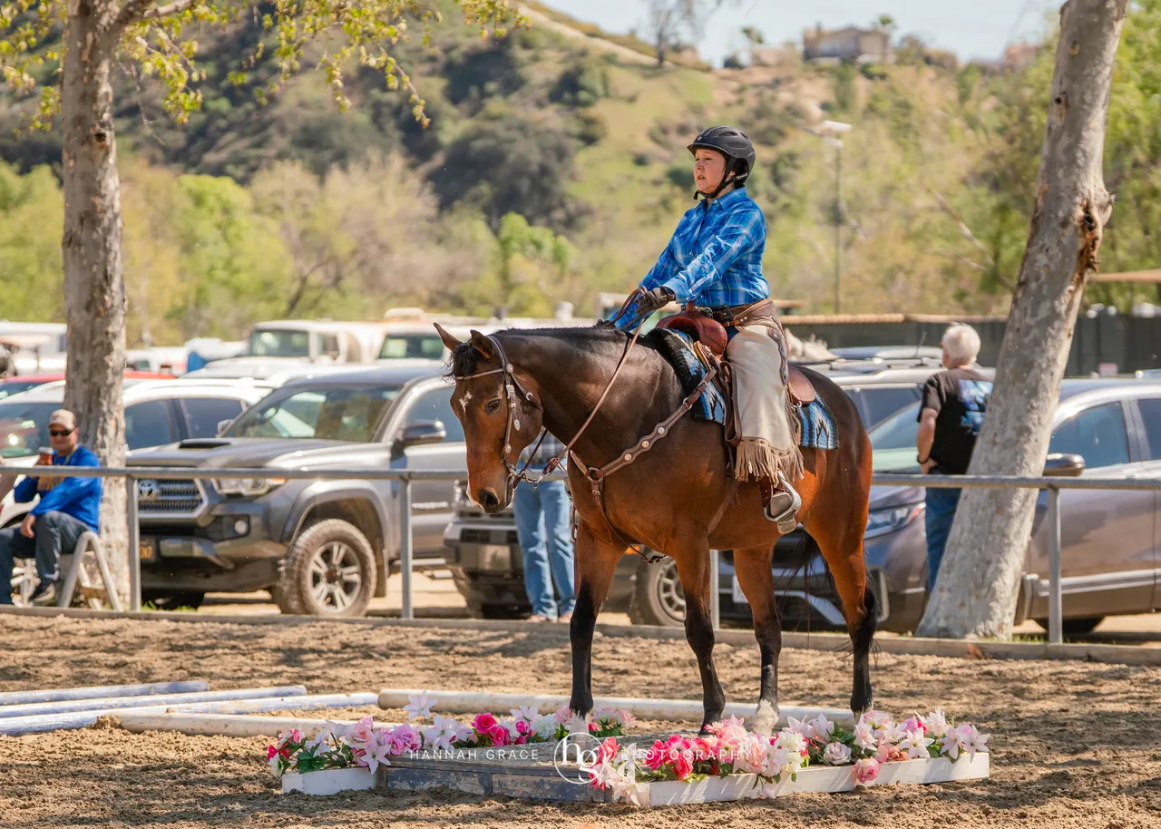 Route 101 March 2025