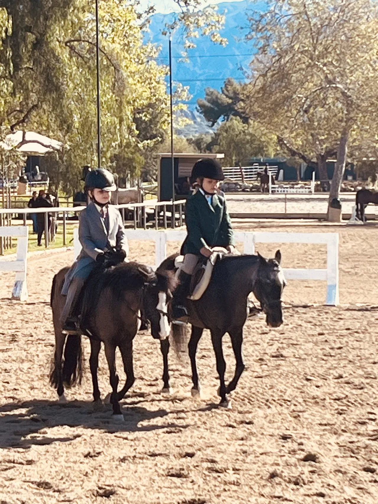 Route 101 March 2025