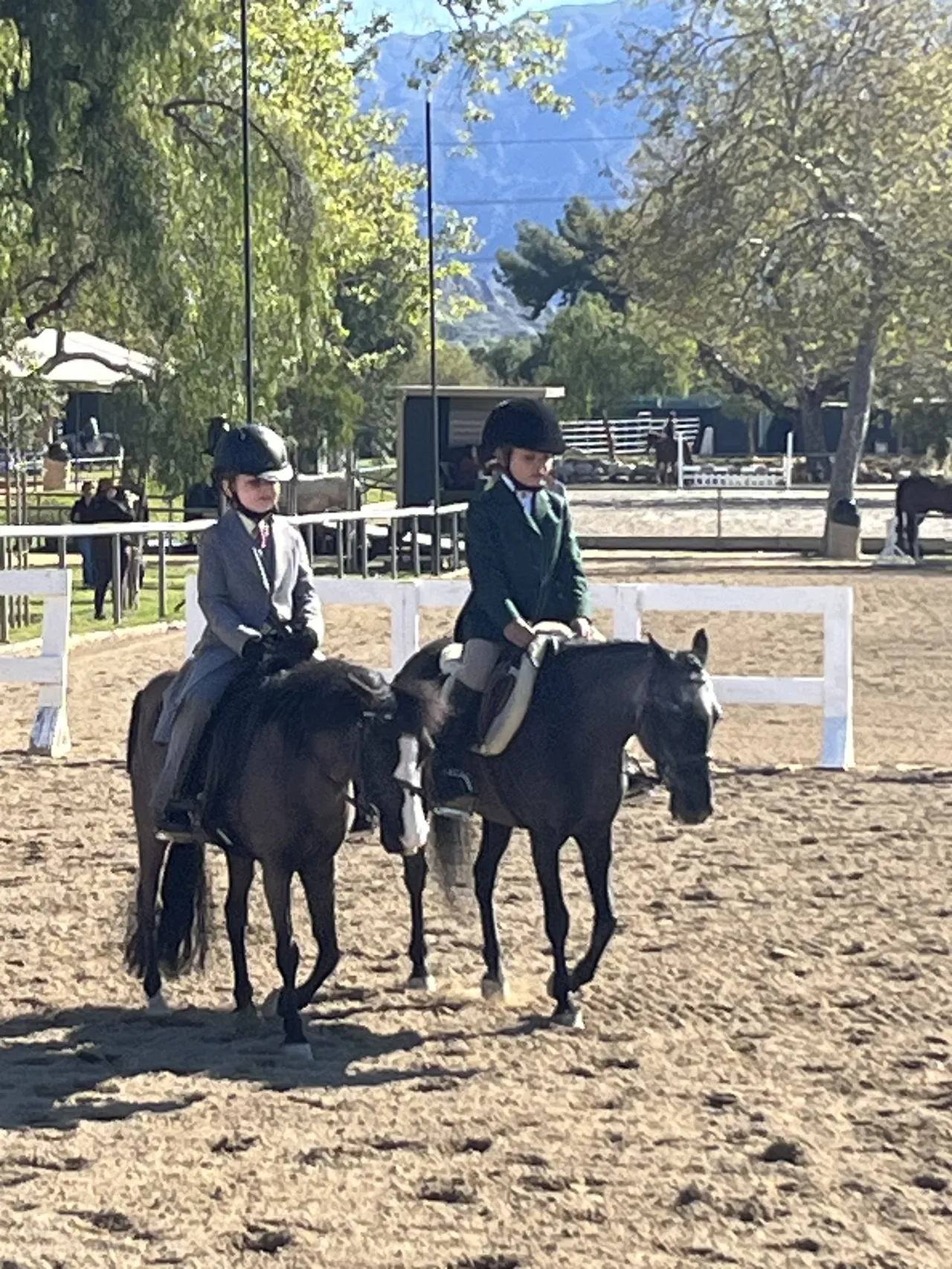 Route 101 March 2025